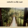 Deraniyagala Pictures